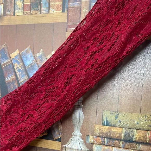 NY Collection Red Lace Sleeve Jumpsuit with V-Neck - Picture 3 of 5